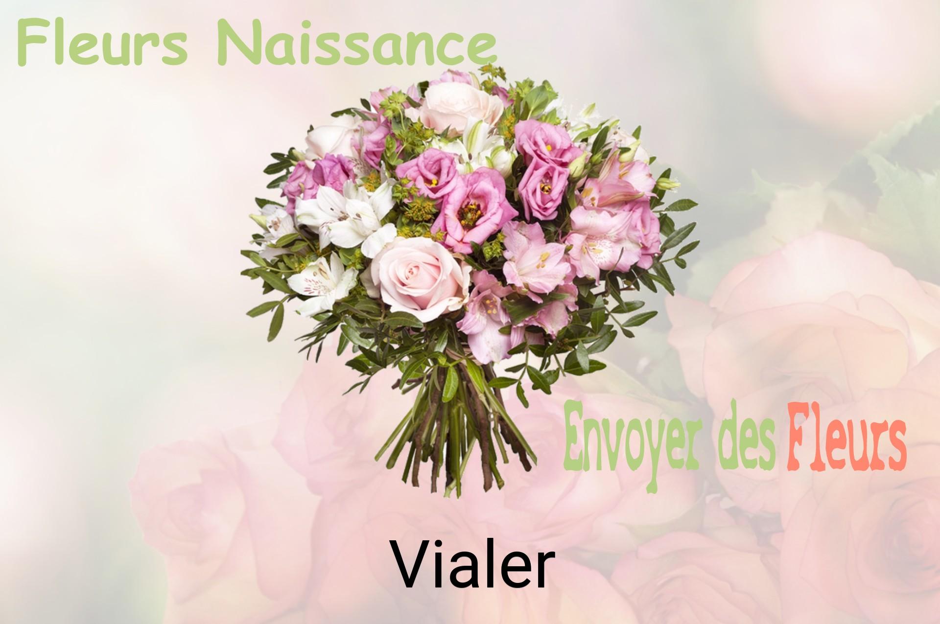 Bouquet de fleurs de naissance livré à Vialer